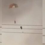 3 US Fighter Jets Downed By Friendly Fire Over Kuwait, Officials Say