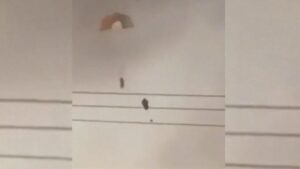 3 US Fighter Jets Downed By Friendly Fire Over Kuwait, Officials Say