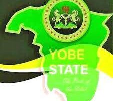 Gashua-Masaba road project to transform Yobe’s agriculture, connectivity 