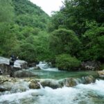 How Does Nature Contribute to the Economy? These Environmental Accountants Are Trying to Find Out