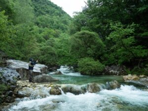How Does Nature Contribute to the Economy? These Environmental Accountants Are Trying to Find Out
