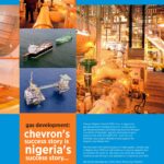 Women Deserve Inclusion In Politics, Not Special Seats, Says Gov Diri