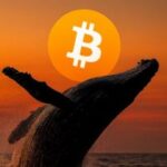 Bitcoin whale posts $50 million gain on BTC, ETH and SOL longs