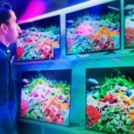 Americans Plan to Spend $1,177 on a New TV. Here’s How to Do It for Less in Time for the Super Bowl