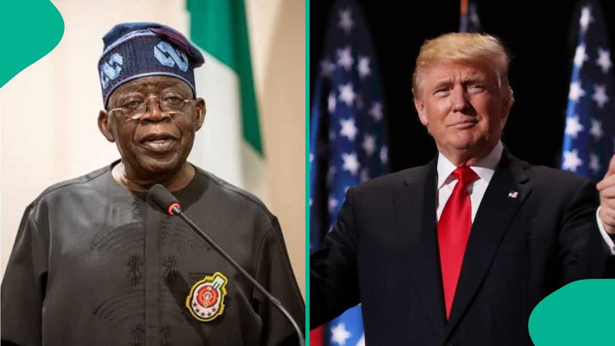 Donald Trump finally opens up on Nigeria-US military alliance