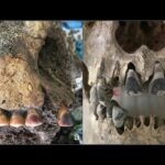 2,000-Year-Old Skulls Reveal How Vietnam’s Early Influencers Dyed Their Teeth Pitch Black—For Life