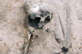 3,000 Years of Ancient Diets in Poland Reveal Migration and Early Social Divisions