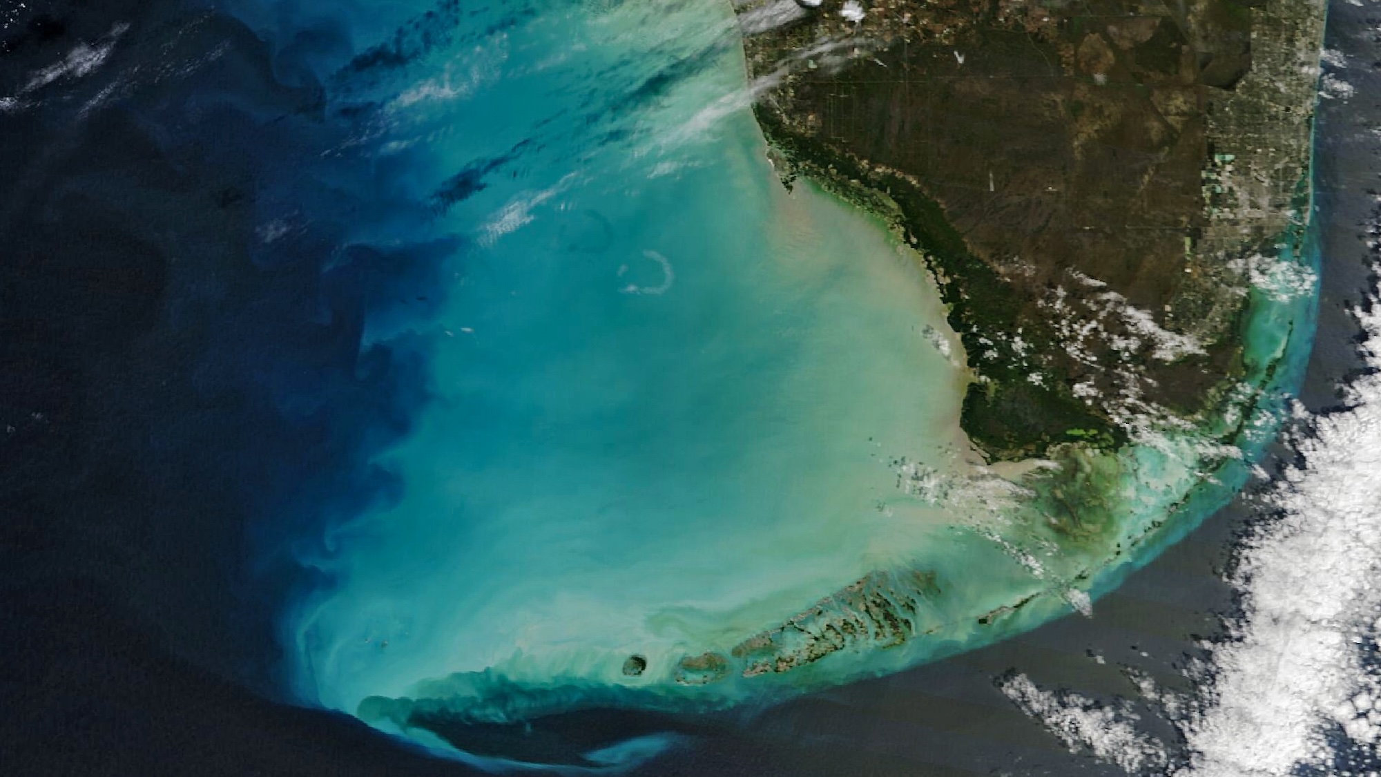 NASA spots Florida’s ocean waters changing color