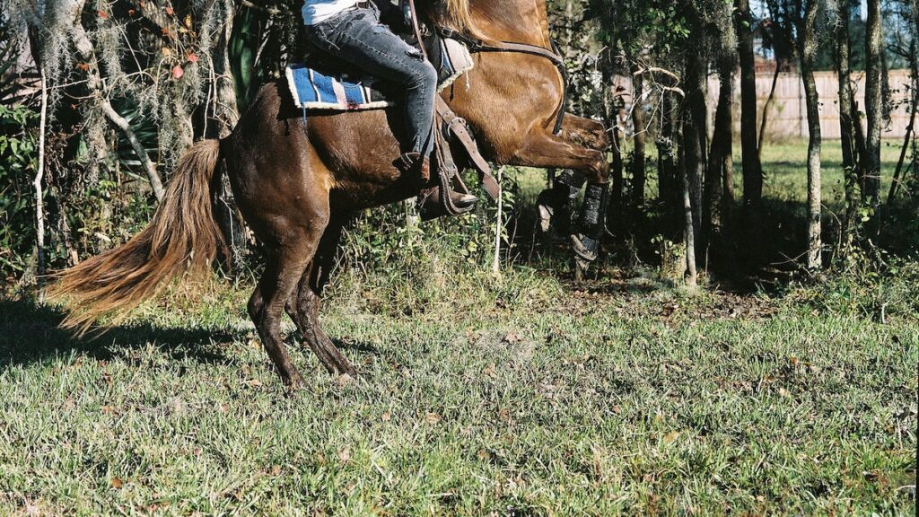 How Black cowboys shaped the cuisine of the American West