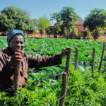 CLOSING GENDER GAPS OP-ED: Why empowering women farmers is the linchpin of food systems transformation