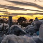 ‘Unofficial’ talks on plastic pollution treaty to begin in Japan