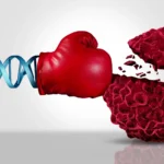 AI maps the hidden forces shaping cancer survival worldwide