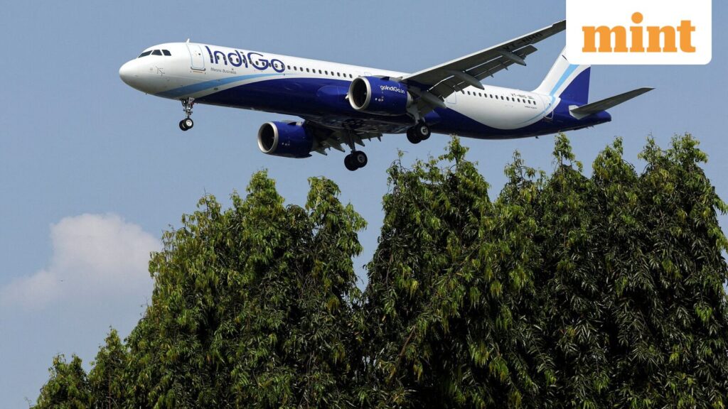 IndiGo to operate 10 relief flights from Jeddah on March 3: Check status of Air India, Qatar Airways, Emirates, others