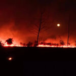 Breaking News Live Updates: Fire breaks out in a house in the Brijeshwari Annexe residential locality in Indore