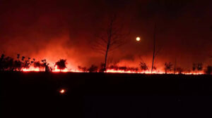 Breaking News Live Updates: Fire breaks out in a house in the Brijeshwari Annexe residential locality in Indore