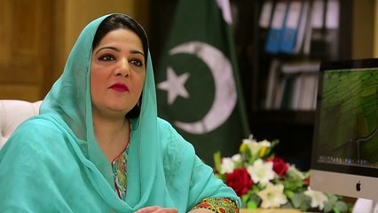 CM aide pitches Punjab’s Digital Future to US envoy at Lahore meeting