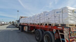 Egypt Sends 2,760 Tons of Aid to Gaza in 156th ‘Zad Al-Ezza’ Convoy