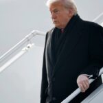 “Trump always chickens out,” briefly explained