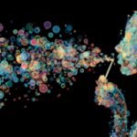 Stop calling it ‘The AI bubble’: It’s actually multiple bubbles, each with a different expiration date