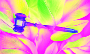 Despite federal rollbacks, states push forward on climate policies