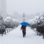 Offshore wind showed up big during the East Coast’s brutal cold