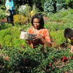 Food Used to Be Democrats’ Territory. What Happened?