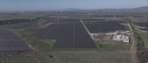 EU awards record 25.2GW of new solar PV capacity through government auctions in 2025