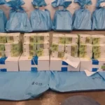 Ukraine stops cash transport through Hungary, calls Druzhba pipeline delegation “tourists”