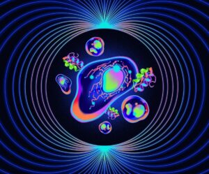 Why ‘quantum proteins’ could be the next big thing in biology