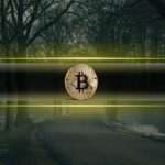 Bitcoin Drops Out of Top 10 Global Assets, Falls to 13th