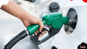 Fuel Prices Set to Drop as Imported Petrol Beats Dangote’s Rates