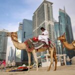Under fire but unbowed: Dubai fights to keep its ‘safe haven’ image