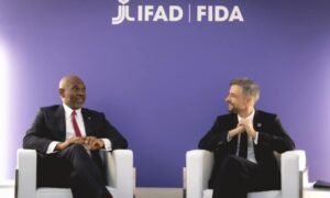 Africa Cannot Grow Without Power And Food – Elumelu 