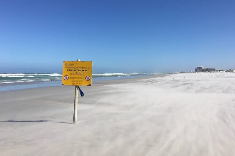 South Africa endorses treaty to triple global nuclear energy capacity by 2050