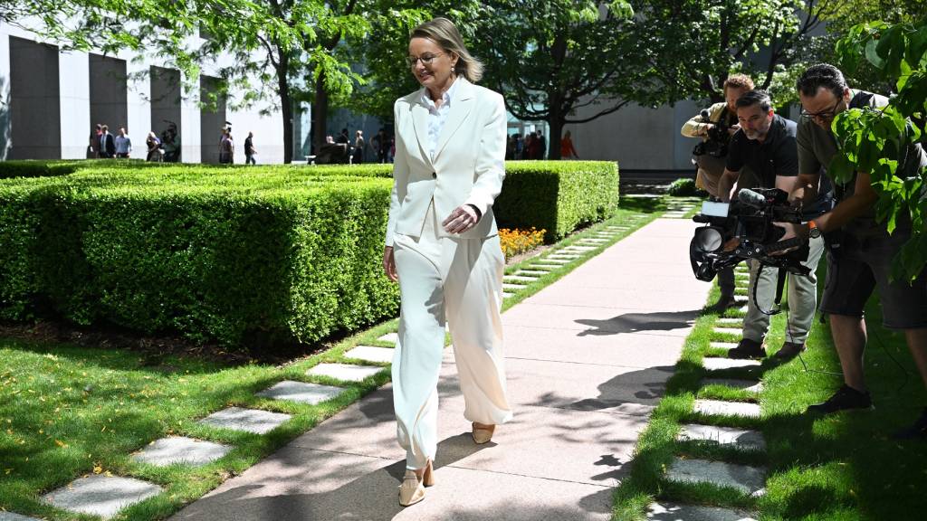 From day one, Sussan Ley was undermined by a little boy’s club of resentful men who hate women in politics