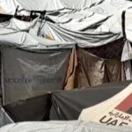 Rodent infestations and attacks spread in Gaza tent camps