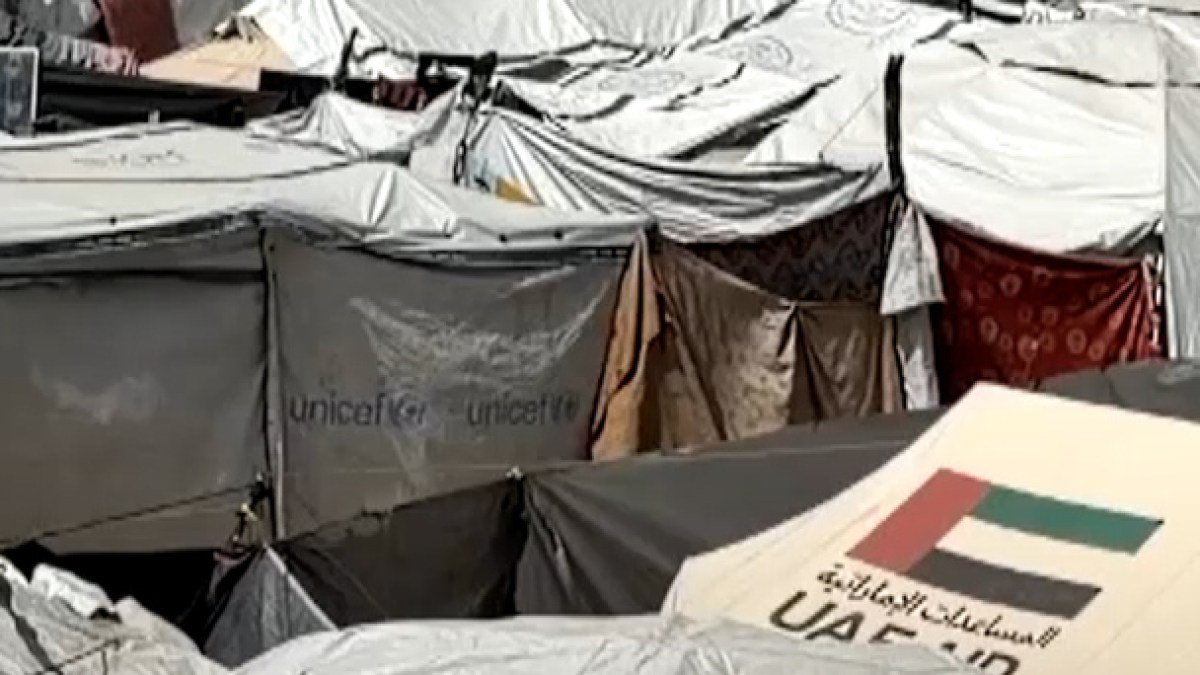 Rodent infestations and attacks spread in Gaza tent camps