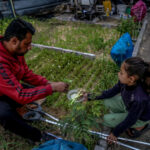 Gaza Farmland Is Destroyed, But Some Are Growing Food Even While Displaced