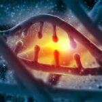 One Overlooked Gene May Shape Nearly All Alzheimer’s Risk