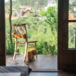 Pet food growth: Strong potential in emerging markets