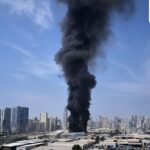 US-Iran conflict: No commotion here, say UAE tourists; Emirates, Etihad resume limited flights from Dubai and Abu Dhabi