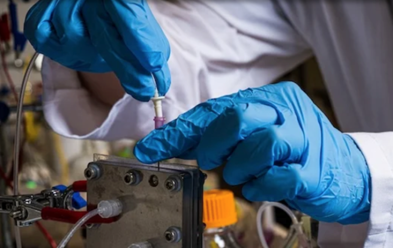 NSF invests $30M in EPSCoR jurisdictions for research and workforce development in energy, semiconductors, nanotechnology and biotechnology