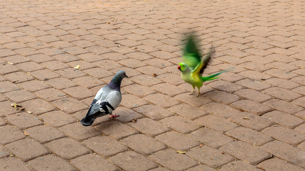 The Delicate Politics of Hiring Someone from Another Team