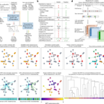 Fast and accurate multiple-protein-sequence alignment at scale with FAMSA2
