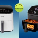 The Best Air Fryers Under $100 Can Crisp With the Best of Them