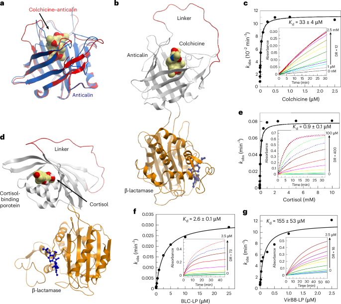 Artificial allosteric protein switches with machine-learning-designed receptors