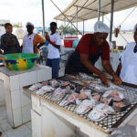Turning the Tide: How West Africa Is Reasserting Its Food Sovereignty Through Aquaculture