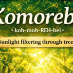 Japanese word of the day ‘Komorebi’: This quiet Japanese word might become your new daily motivation