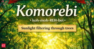 Japanese word of the day ‘Komorebi’: This quiet Japanese word might become your new daily motivation