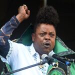 Papa Penny compared to Helen Zille after viral road protest video in Giyani